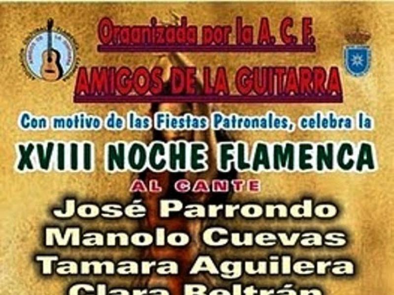 2010 Festival Noche Flamenca