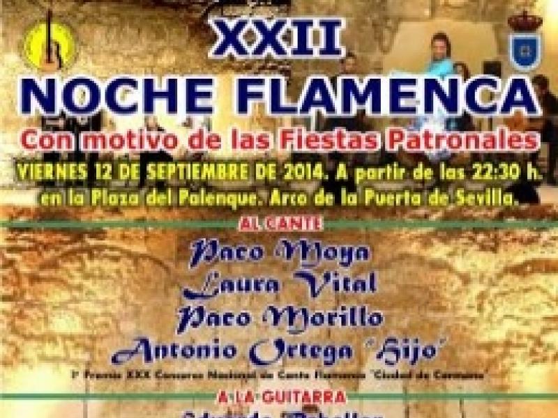 2014 Festival Noche Flamenca