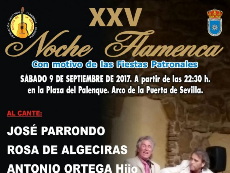 2017 Festival Noche Flamenca