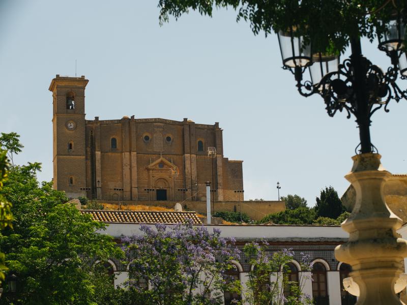 Osuna-Vista de la Colegiata de Nuestra Señora de la Asunción de Osuna