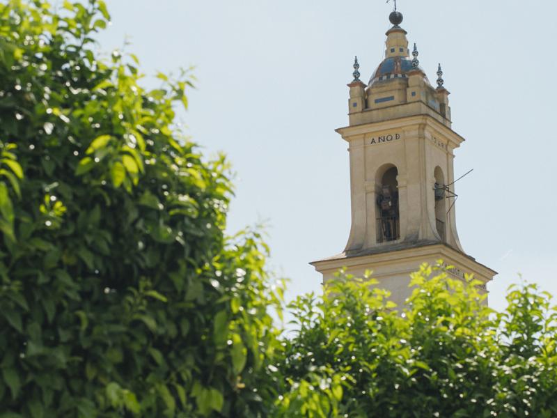 Olivares. Campanario con árboles delante de la Colegiata de Santa María de las Nieves
