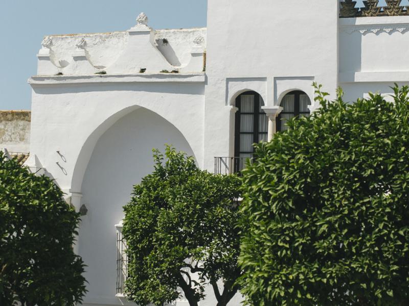 Olivares. Trozo de fachada del Palacio del Conde-Duque de Olivares