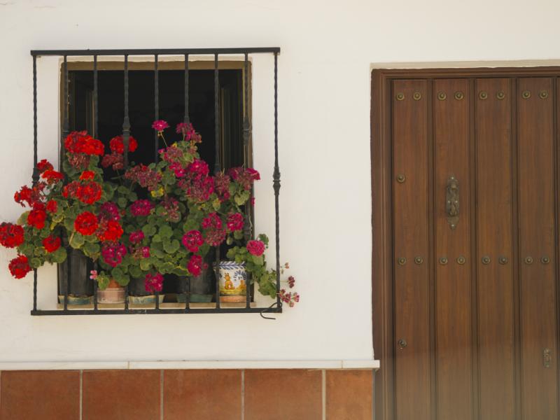 Algámitas-Detalle de puerta y ventana con flores