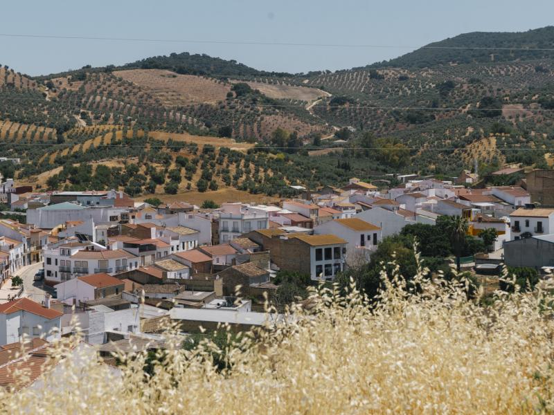 Algámitas-Vistas del municipio de Algámitas