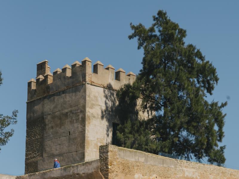 Castillo de Luna 