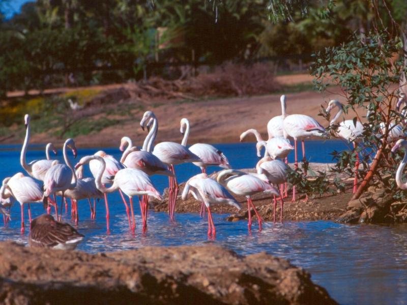La Puebla del Río-Reserva Natural Concertada Cañada de Los Pájaros