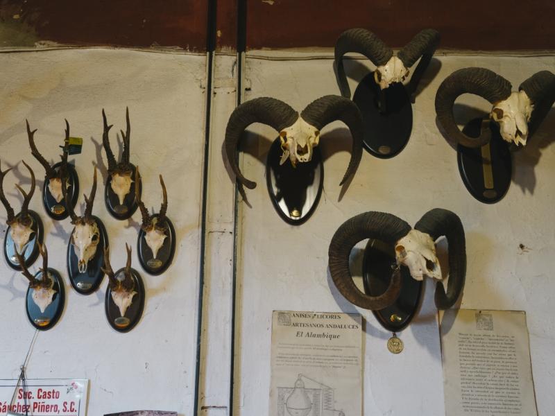 Trofeos de caza colgados en una de las paredes de la fabrica de aguardiente