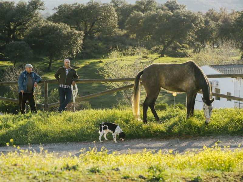 Dos señores en el campo con un perro y un caballo pastando