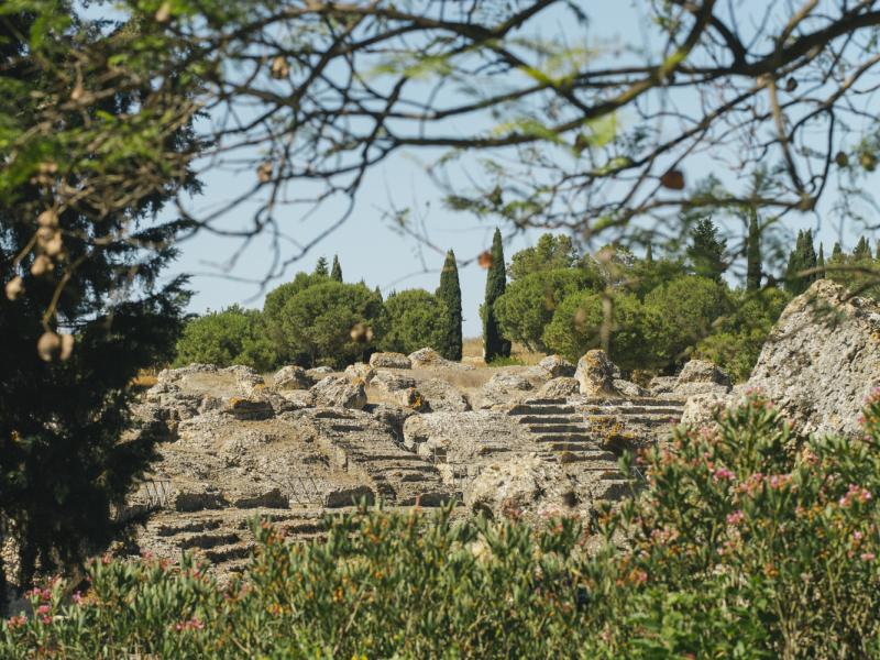 Santiponce. Anfiteatro del conjunto arqueológico de Itálica visto tras vegetación