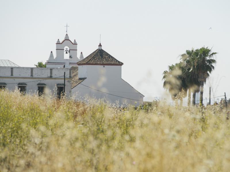 Castilleja de Guzmán. Vista desde el campo