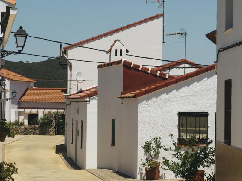 El Madroño. Calle con casas blancas