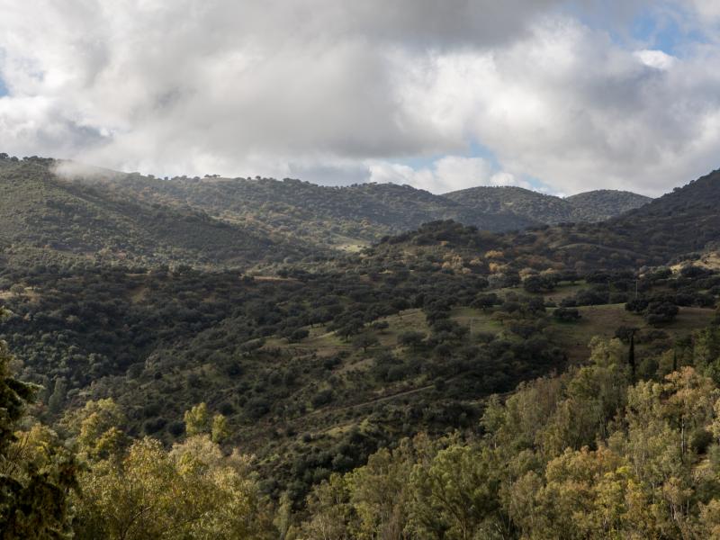 Cazalla de la Sierra-Parque Natural Sierra Norte