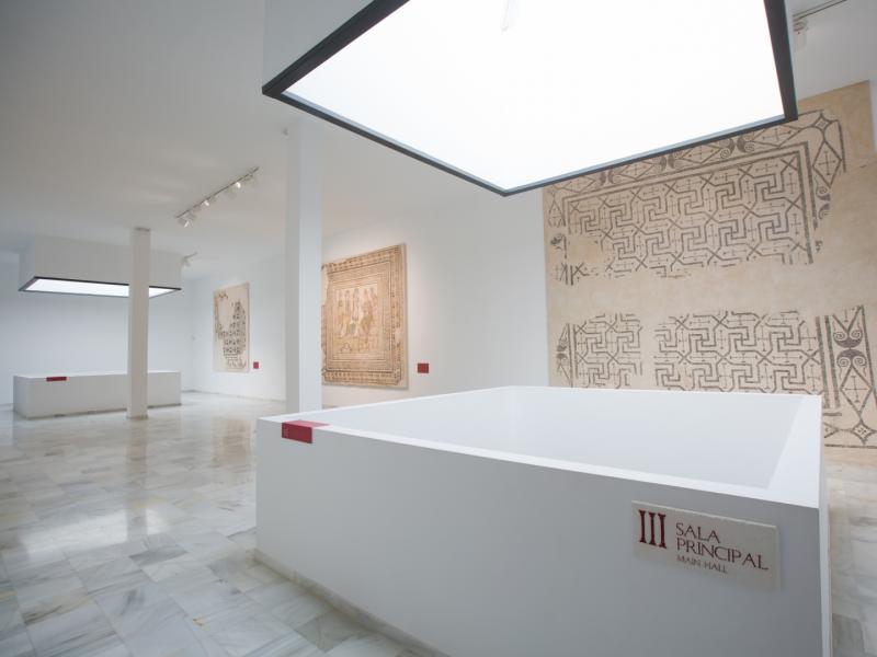 Colección Museográfica del Mosaico Romano