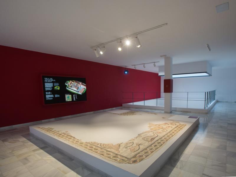 Colección museográfica del mosaico romano