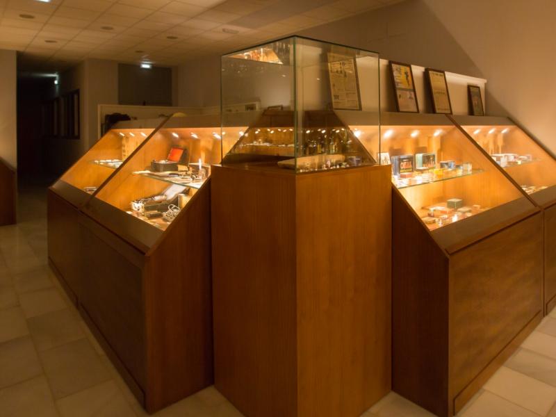 Museo de Medicina Antigua, Ciencias Naturales y Arqueología (Museo Municipal)