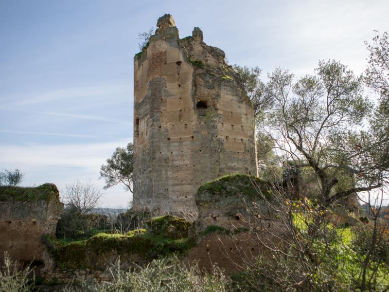 Peñaflor.Castillo de Almenara