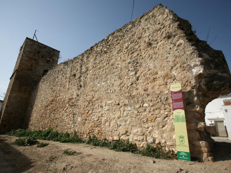 La Puebla de los Infantes.Castillo