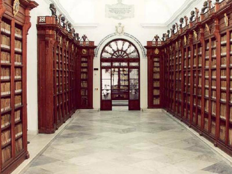 Biblioteca Colombina y Biblioteca Capitular