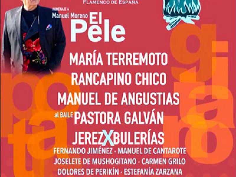 Festival Flamenco Potaje Gitano