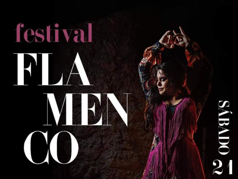 Festival Flamenco El Ronquillo