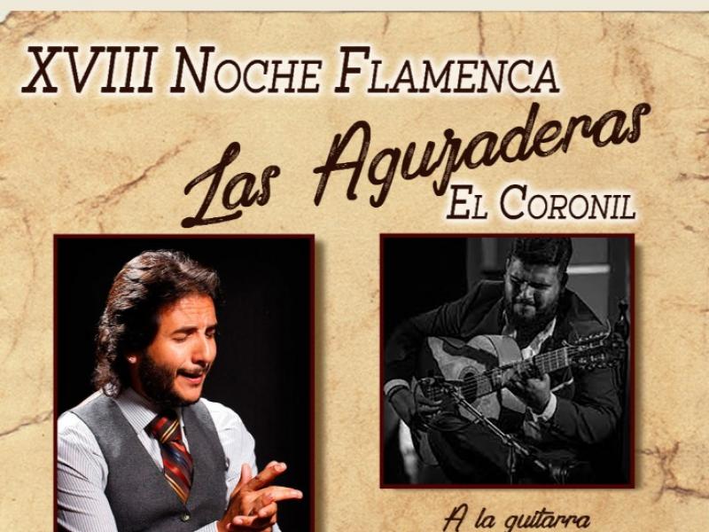 XVIII Noche flamenca Las Aguzaderas