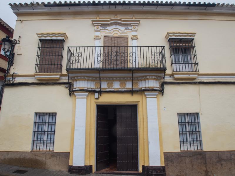 Casas-Palacios Señoriales 