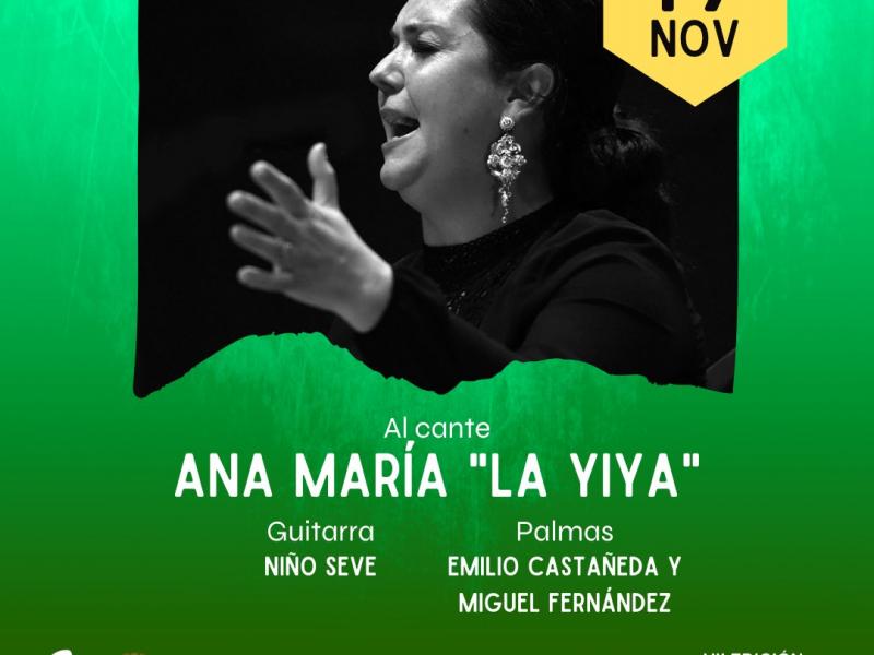 Flamenco: Ana María "La Yiya"