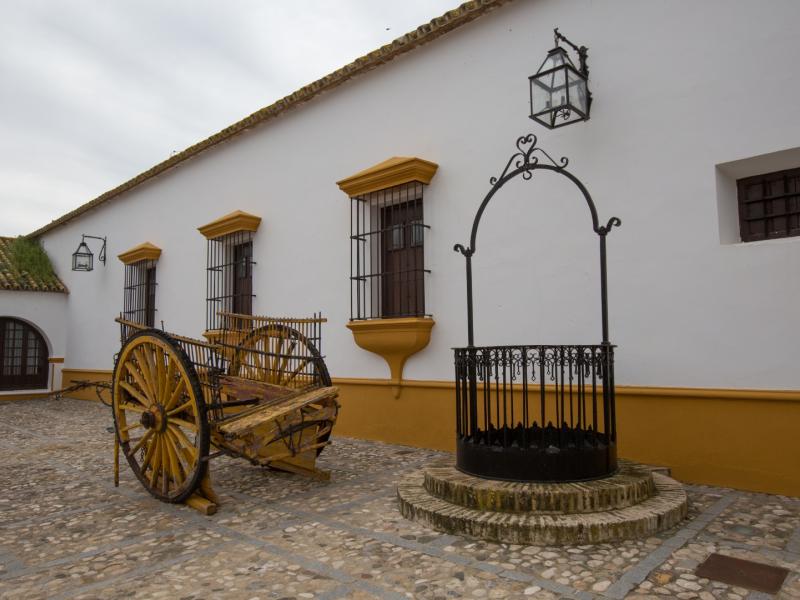Museo del Aceite Hacienda La Fuenlonguilla
