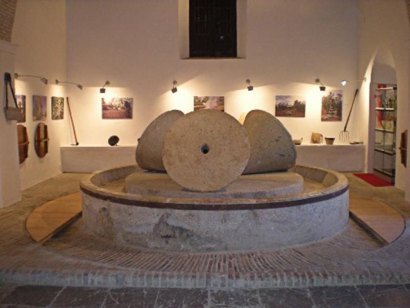 Museo del Aceite Hacienda La Fuenlonguilla