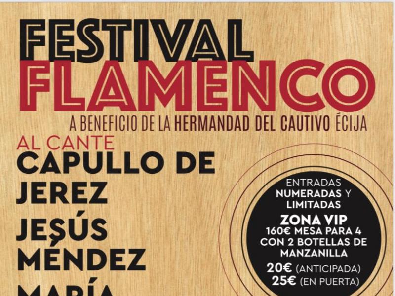 Festival Flamenco 