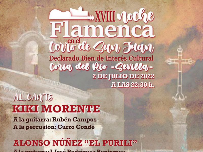 XVIII Noche Flamenca en el Cerro de San Juan