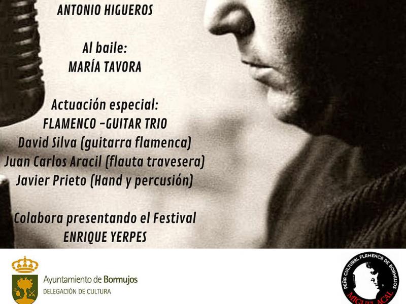 VII Festival de Flamenco La Alquería de Bormujos