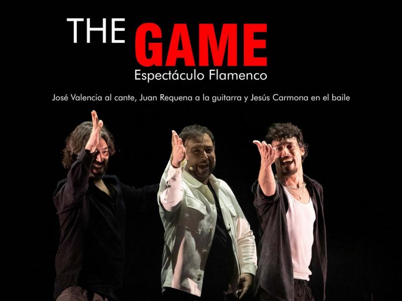 Flamenco: The Game