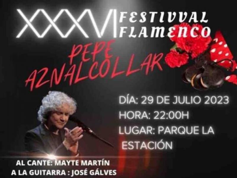 XXXVI Festival Flamenco Pepe Aznalcóllar