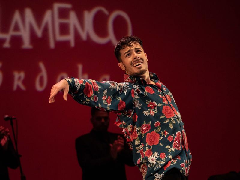 Flamenco: Noche de Luz Juan Tomás de la Molía
