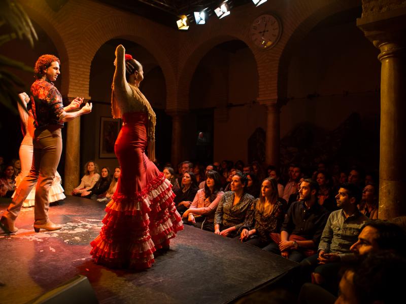 Museo Baile Flamenco