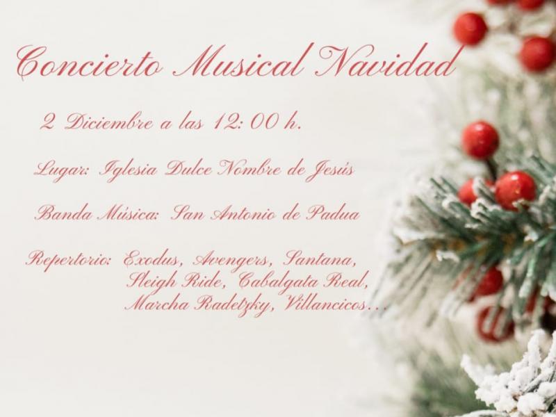 Concierto Musical Navidad