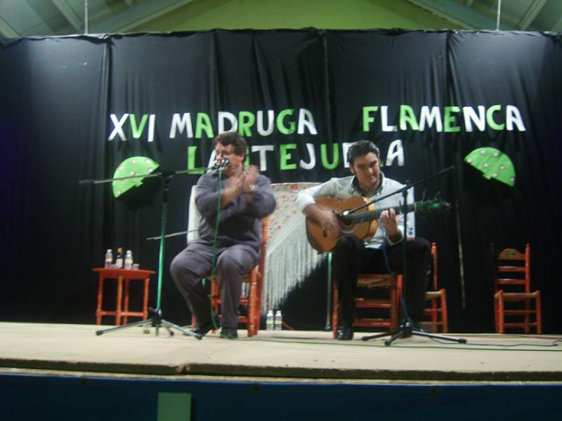 Festival Flamenco del Algodón. Lantejuela