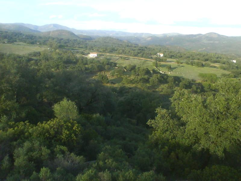 Grabaciones Rupestres Cerro de El Riscal
