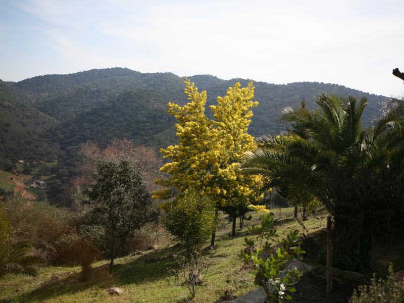 Ruta Ermitas: Cazalla de la Sierra - El Pedroso