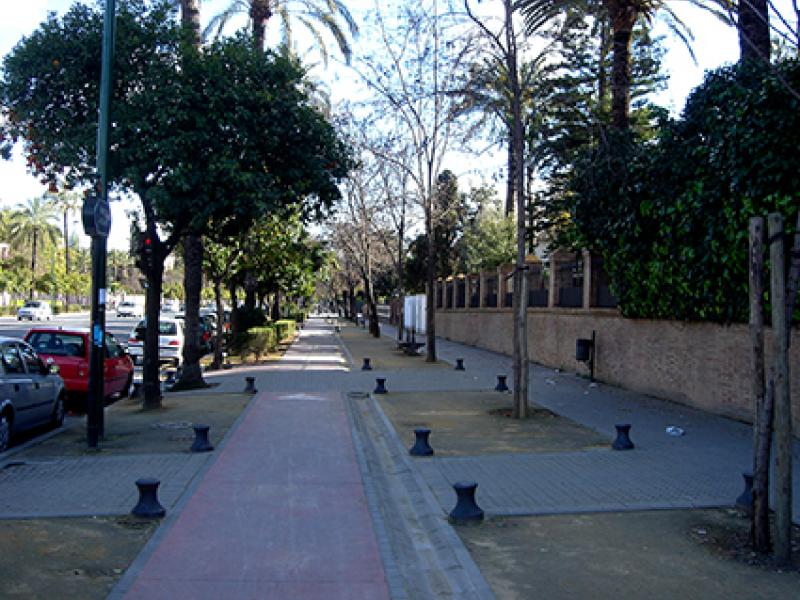 Camino a Santiago: Vía Serrana Etapa 5