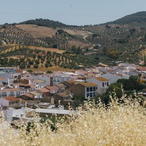 Algámitas-Vistas del municipio de Algámitas