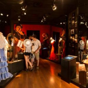 Museo baile flamenco
