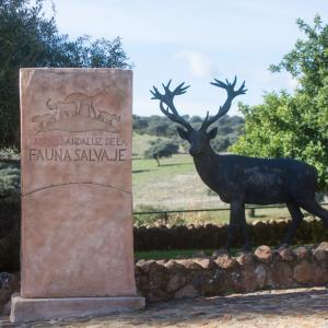 Centro Andaluz Fauna Salvaje