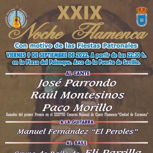 2019 Festival Noche Flamenca