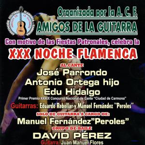 2023 Festival Noche Flamenca