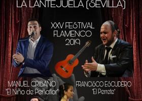 Lantejuela-Festival Flamenco del Algodón 2019