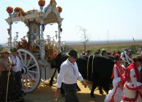 Fiestas Patronales de Santa María del Alcor