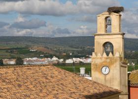 Cantillana. Torre del Reloj con nido de cigüeñas y vista desde los tejados
