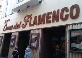 Teatro Cuna del Flamenco
